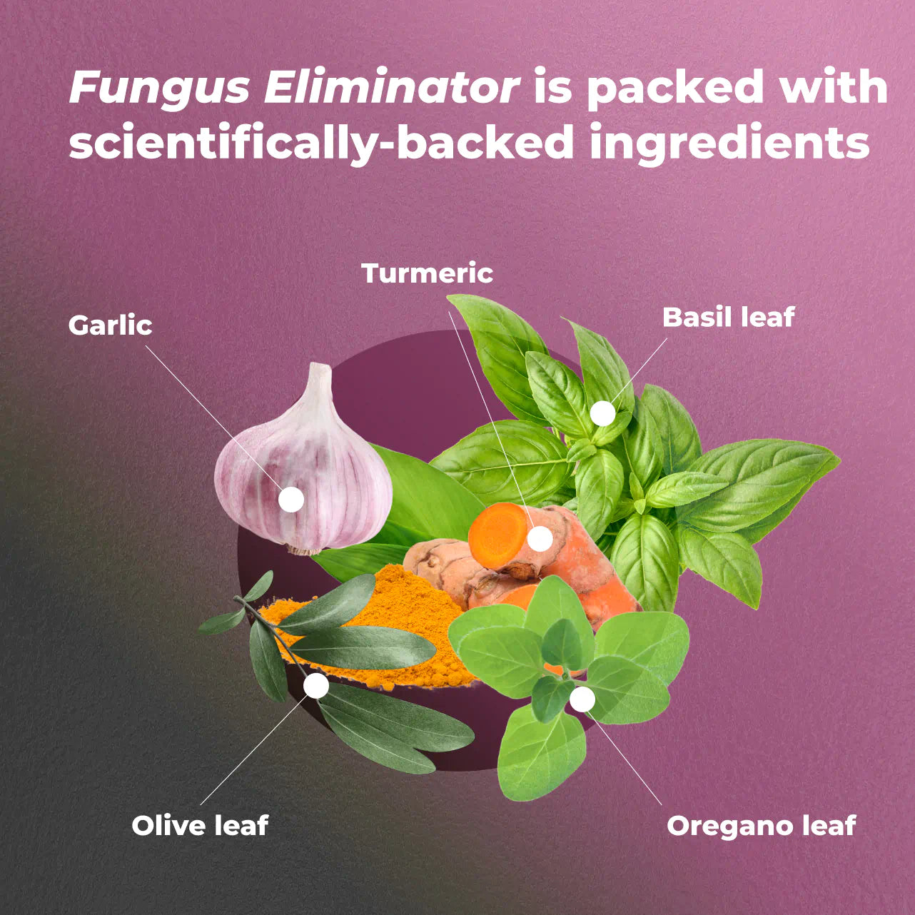 Fungus Eliminator